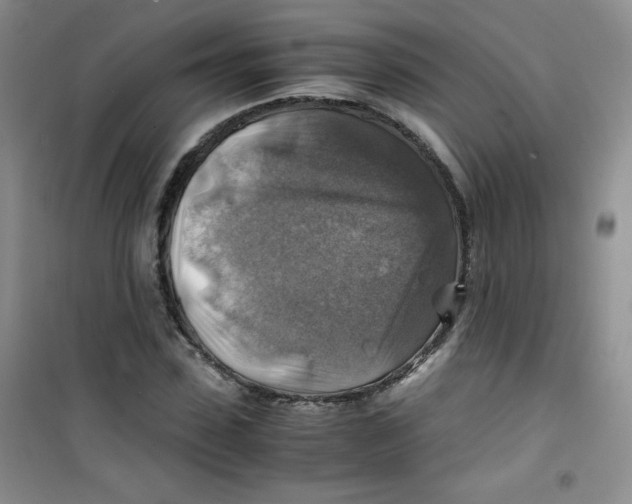 X0000100950923200807221117