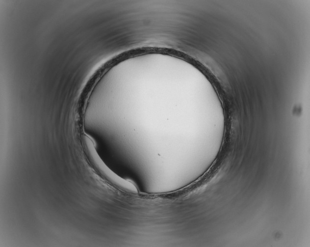 X0000100950926200807221117