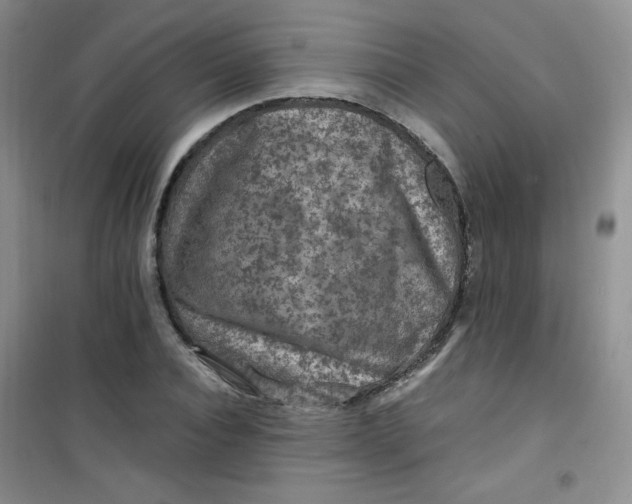 X0000100950928200807221117