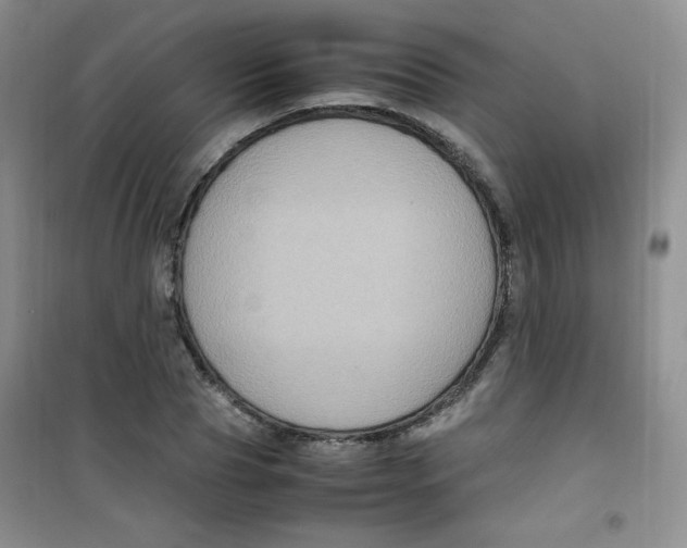 X0000100950929200807221117