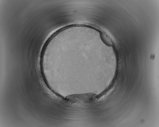 X0000100950932200807221117