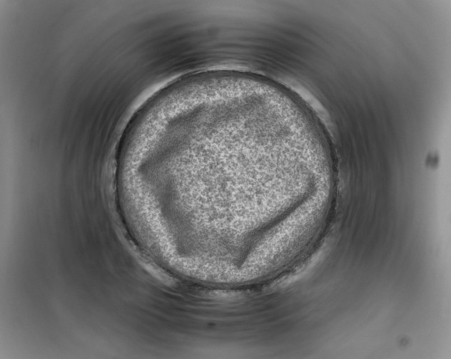 X0000100950933200807221117