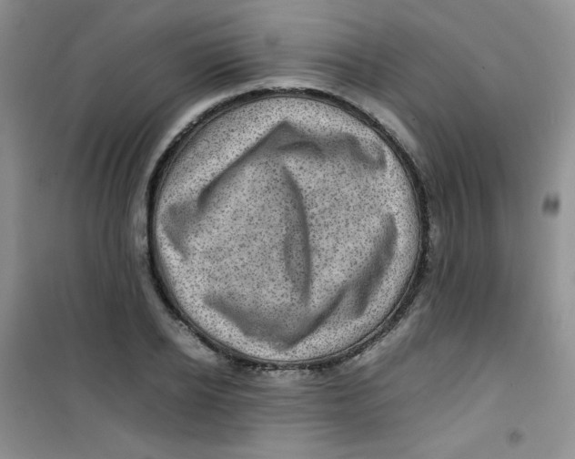 X0000100950934200807221117