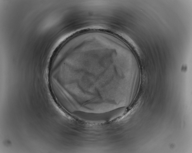 X0000100950935200807221117