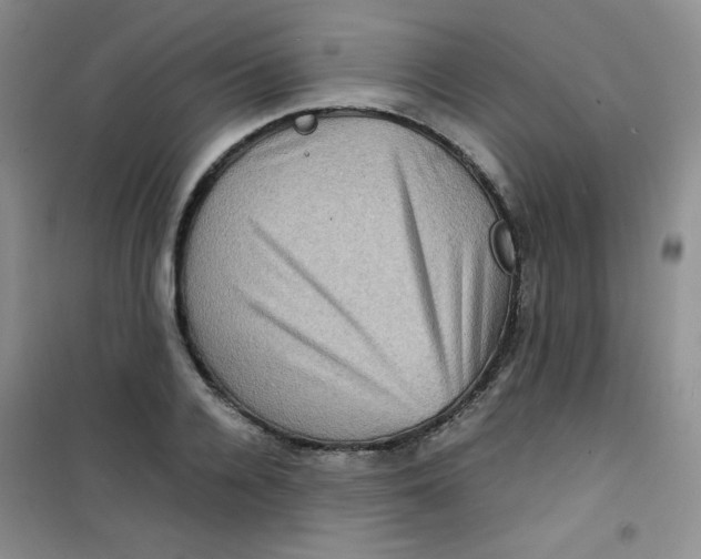 X0000100950936200807221117