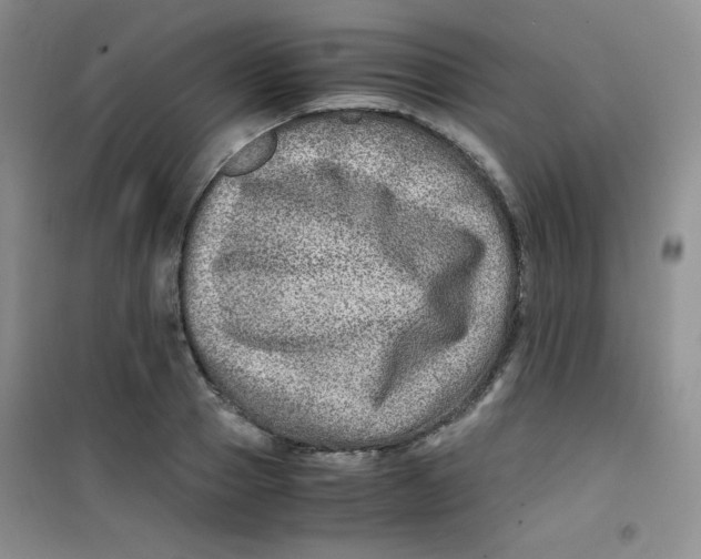 X0000100950937200807221117