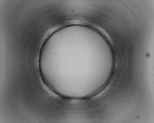 X0000100950938200807221117