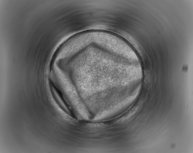 X0000100950939200807221117