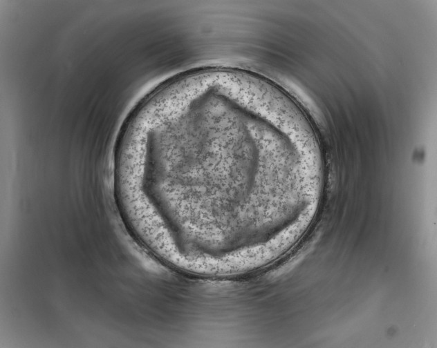 X0000100950940200807221117