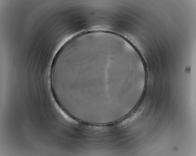 X0000100950941200807221117