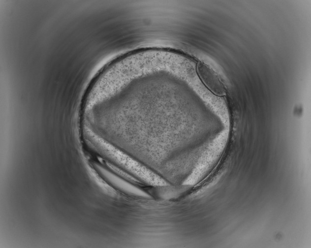 X0000100950942200807221118