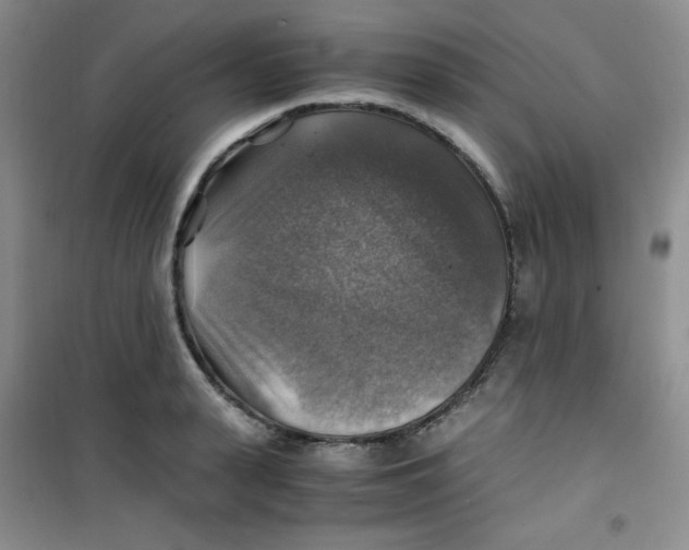 X0000100950943200807221118