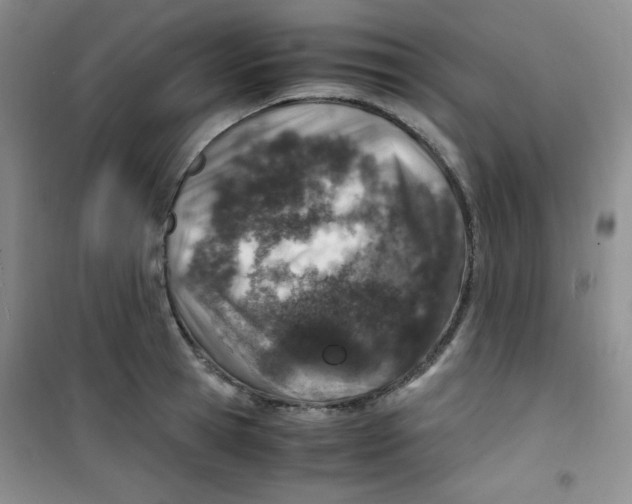 X0000100950945200807221118