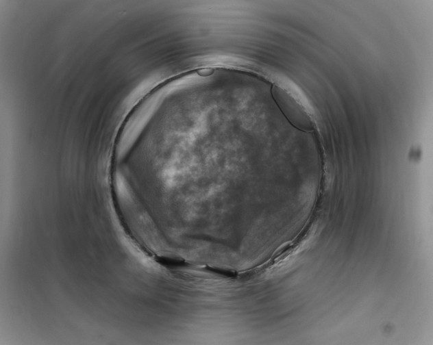 X0000100950946200807221118