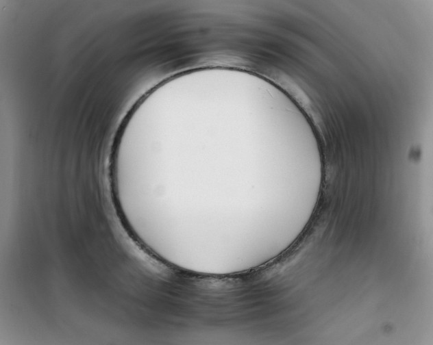 X0000100950947200807221118