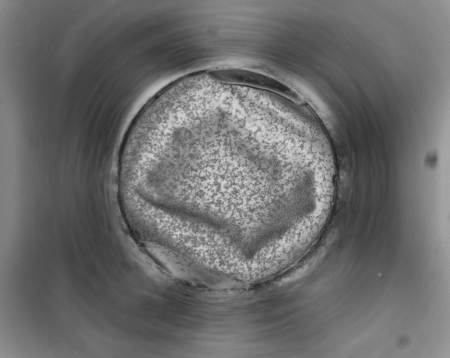 X0000100950948200807221118