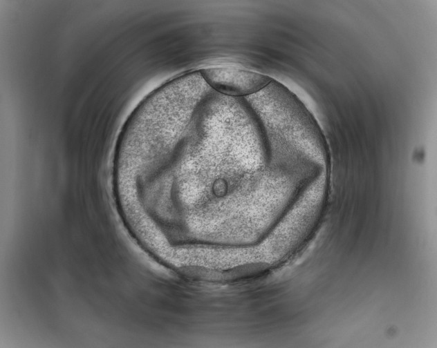 X0000100950949200807221118