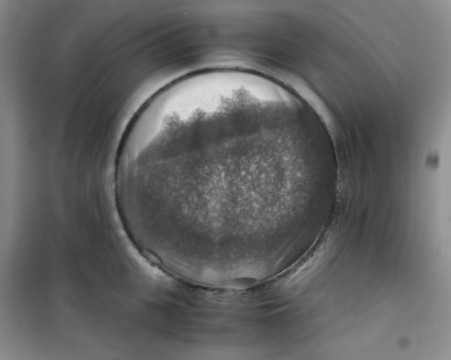 X0000100950951200807221118