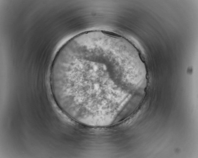 X0000100950952200807221118