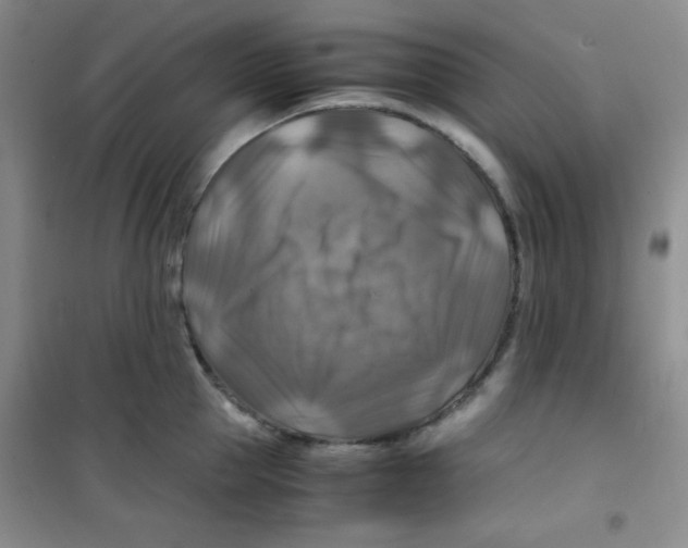 X0000100950953200807221118