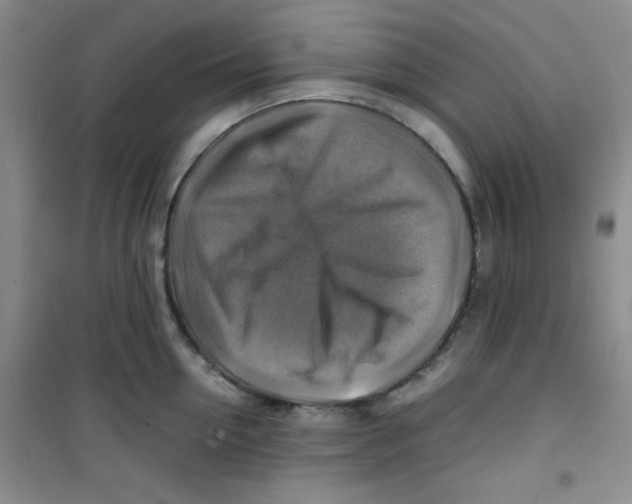 X0000100950954200807221118