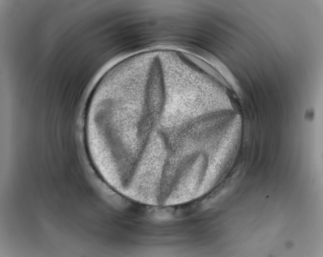 X0000100950955200807221118