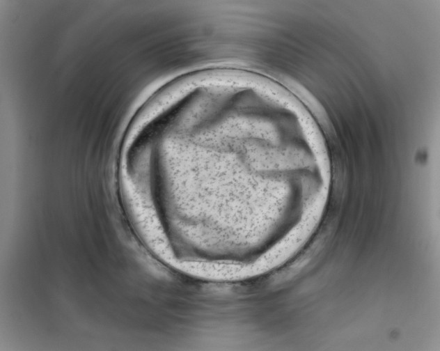 X0000100950956200807221118