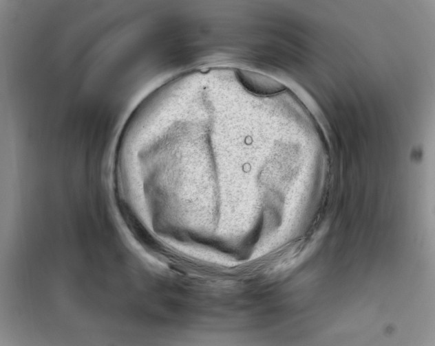 X0000100950957200807221118