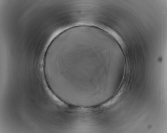 X0000100950958200807221118