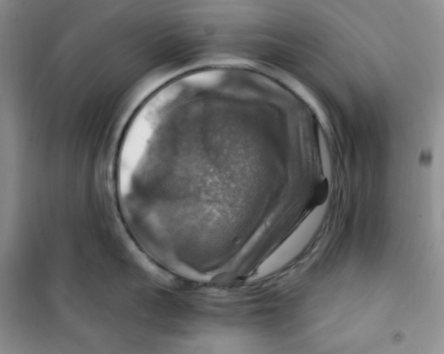 X0000100950959200807221118