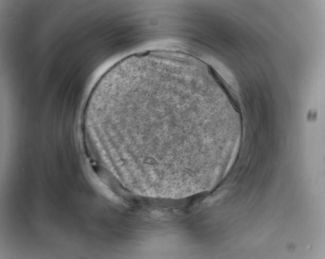 X0000100950960200807221118