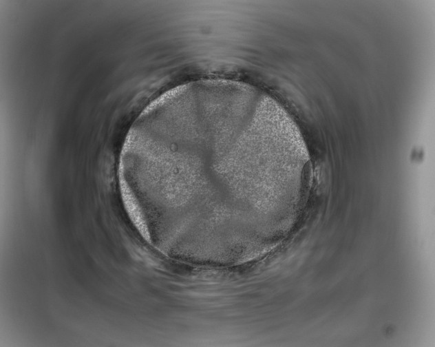 X0000100950963200807221117