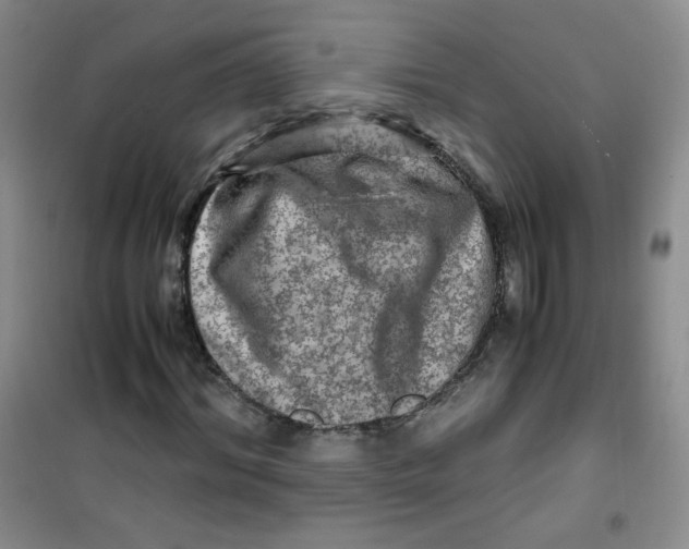 X0000100950964200807221117