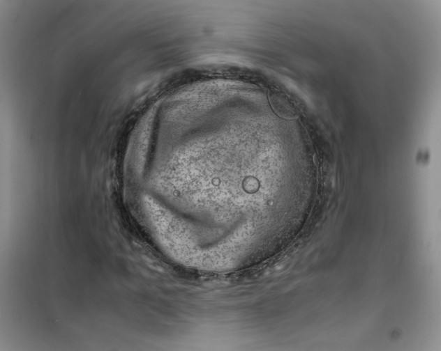 X0000100950965200807221117