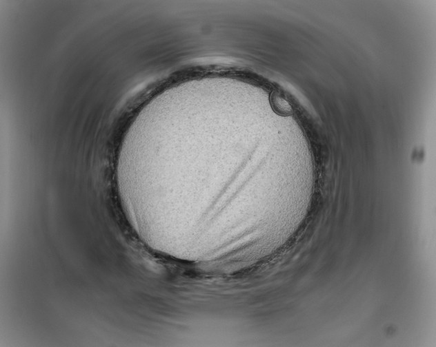 X0000100950967200807221117