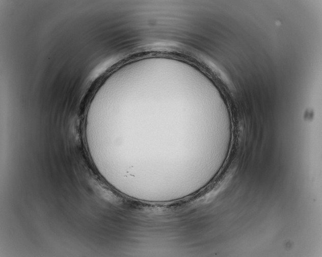 X0000100950970200807221117