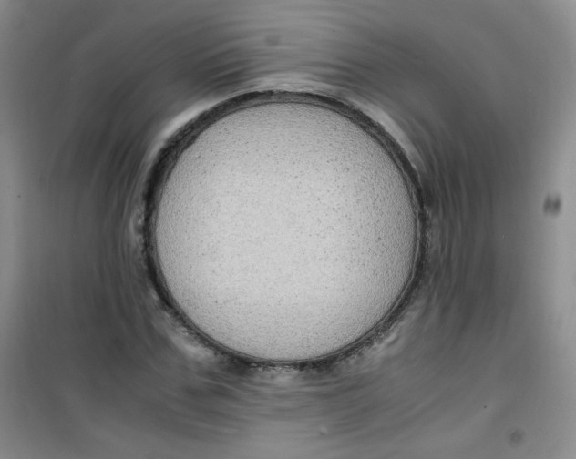 X0000100950971200807221117