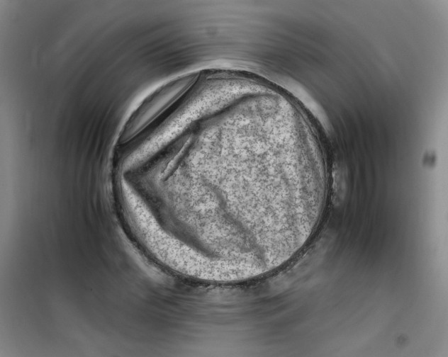 X0000100950972200807221117