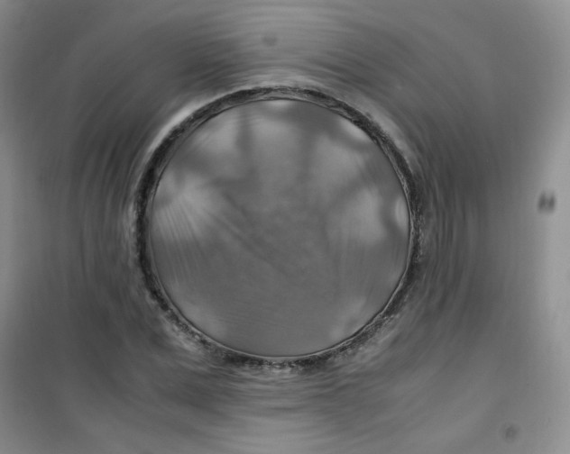 X0000100950975200807221117