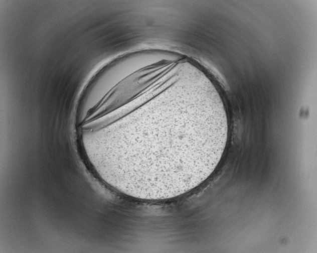 X0000100950976200807221117