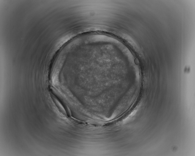 X0000100950977200807221117