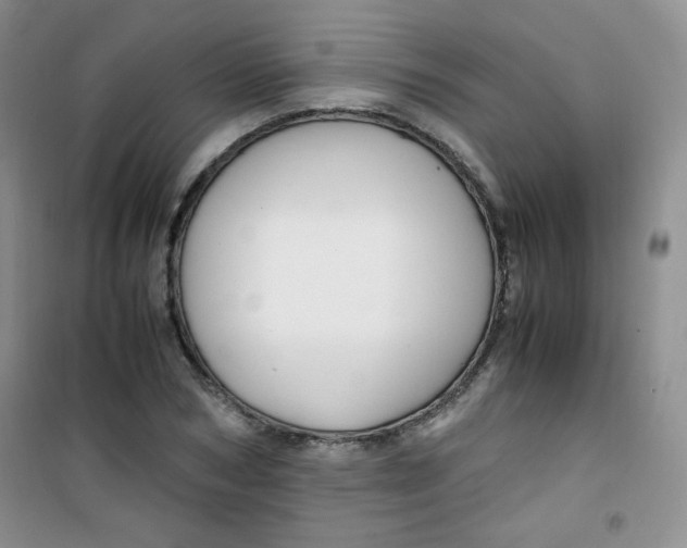 X0000100950978200807221117