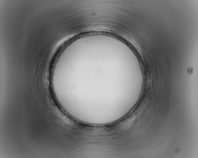 X0000100950979200807221117