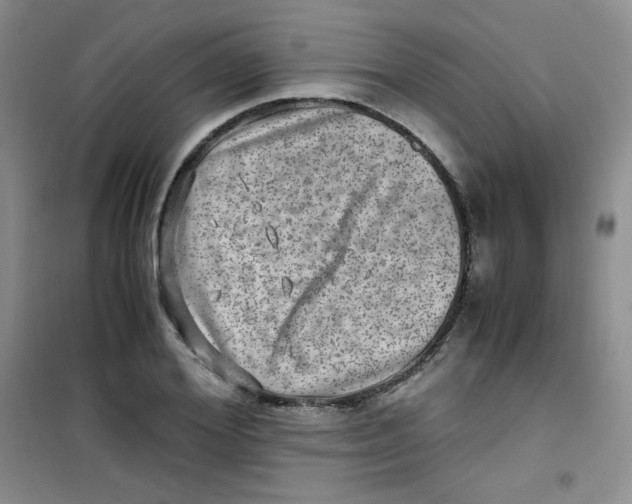 X0000100950980200807221117