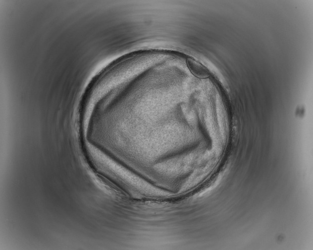 X0000100950981200807221117