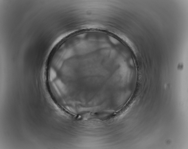 X0000100950983200807221117