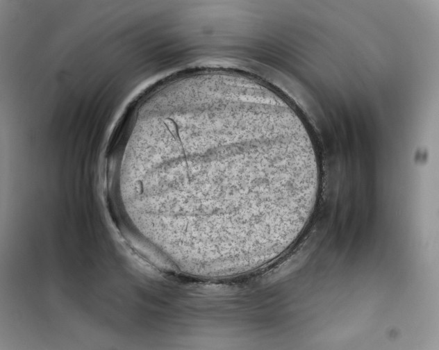 X0000100950984200807221117