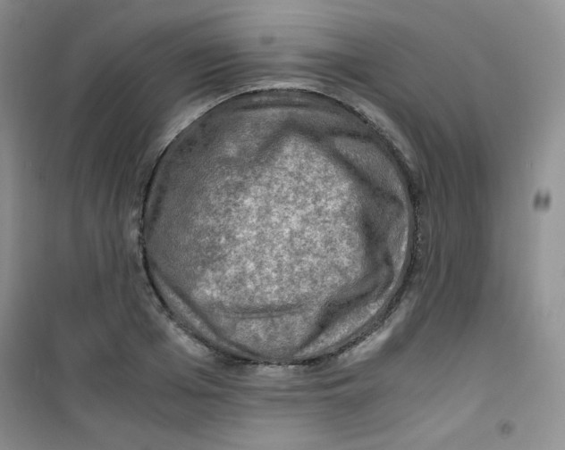 X0000100950985200807221117