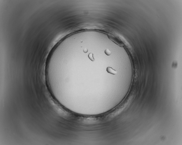 X0000100950986200807221117