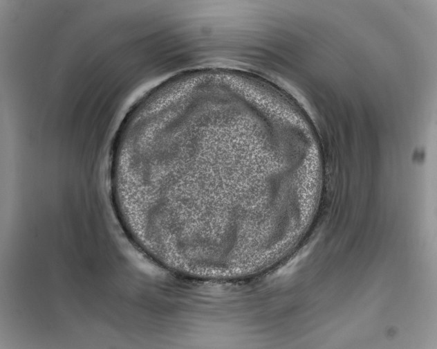 X0000100950987200807221117